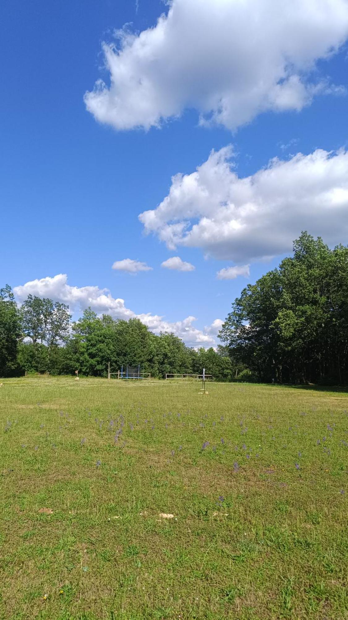 N°2 Gite 4 Personnes* Au Coeur De La Nature Saint-Aubin-de-Nabirat Eksteriør bilde